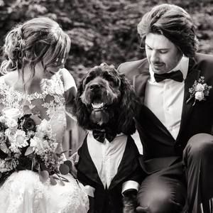 Meet your Posher, Derek